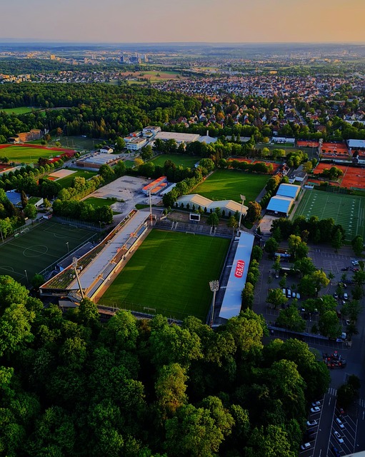 素质的提升 素质的提升