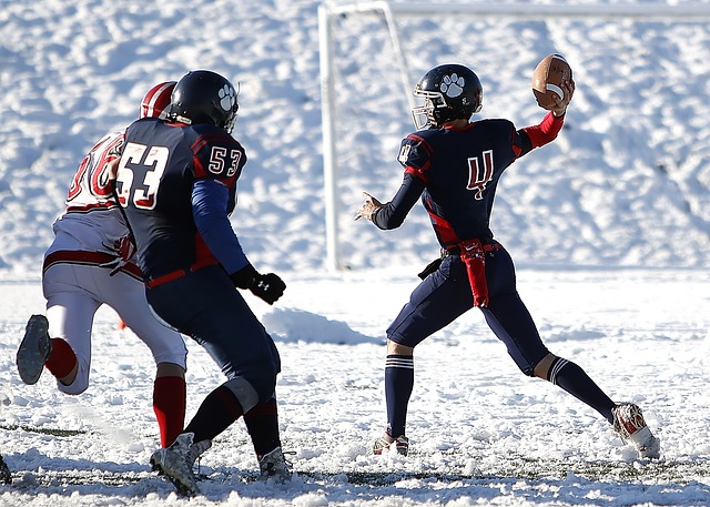 力候選之一 力候選之一