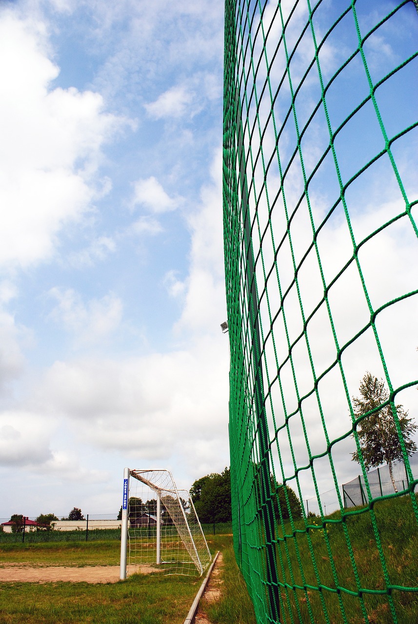 通过这两项 通过这两项