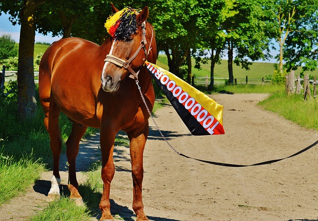 此番动情告 此番动情告