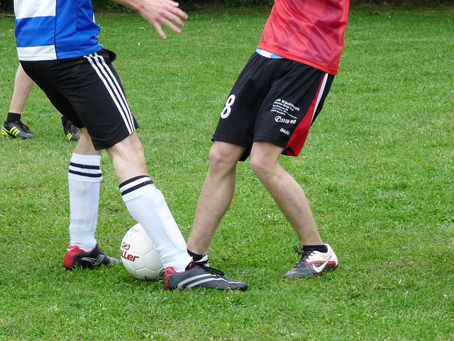 所在的都灵 所在的都灵